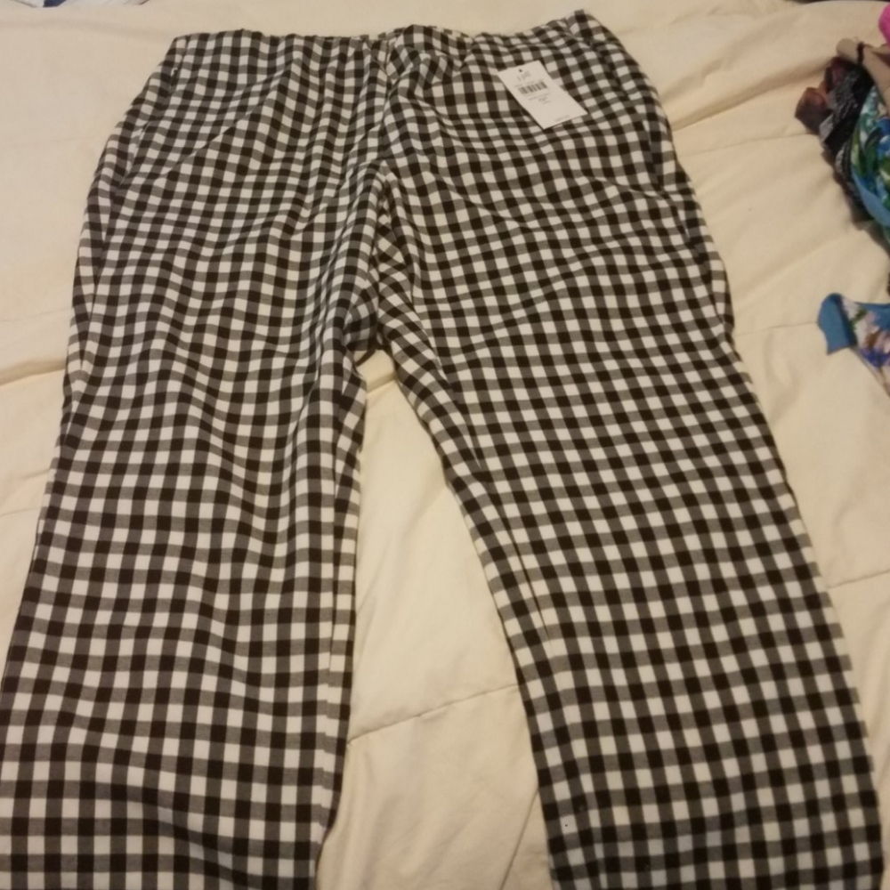 COPY - JJill!! Never been worn!!